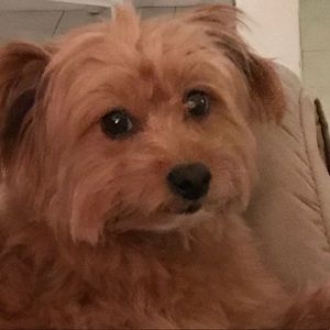 Meet your Posher, Debbie